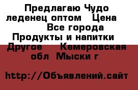 Предлагаю Чудо леденец оптом › Цена ­ 200 - Все города Продукты и напитки » Другое   . Кемеровская обл.,Мыски г.